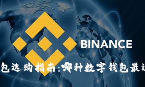 数字钱包选购指南：哪种数字钱包最适合你？