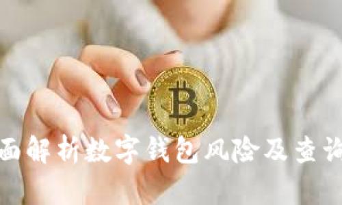 : 全面解析数字钱包风险及查询方法