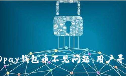 深入解析TOpay钱包币不见问题:用户寻求解决方案