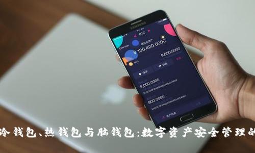 深入解析冷钱包、热钱包与脑钱包：数字资产安全管理的全景指南