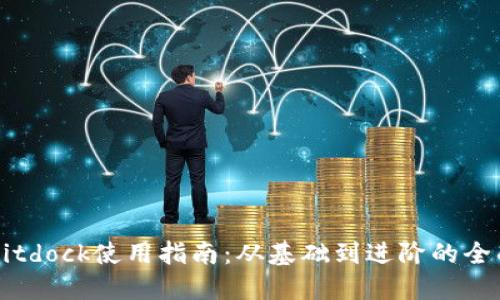 详解Bitdock使用指南:从基础到进阶的全面介绍