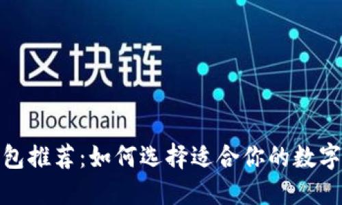 最安全的冷钱包推荐:如何选择适合你的数字资产安全方案
