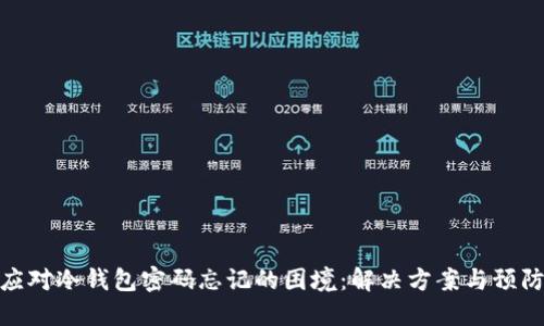 如何应对冷钱包密码忘记的困境:解决方案与预防措施