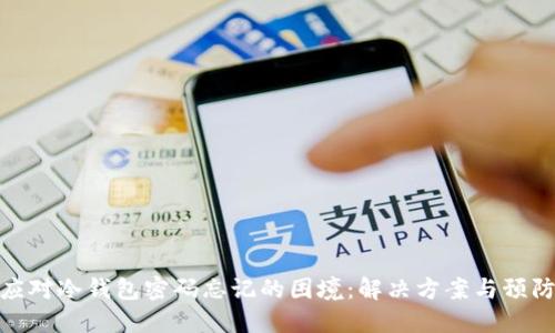 如何应对冷钱包密码忘记的困境:解决方案与预防措施