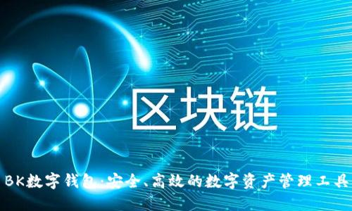BK数字钱包:安全、高效的数字资产管理工具