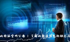 最新比特派官网公告 | 了