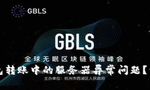如何解决冷钱包转账中的服务器异常问题？详尽指南与解析