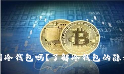 警方能查到冷钱包吗？了解冷钱包的隐私和安全性