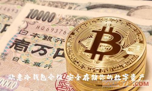欧意冷钱包介绍:安全存储你的数字资产