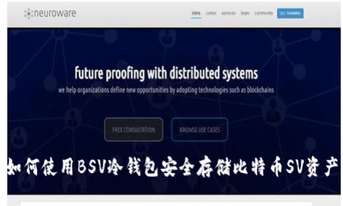 如何使用BSV冷钱包安全存储比特币SV资产