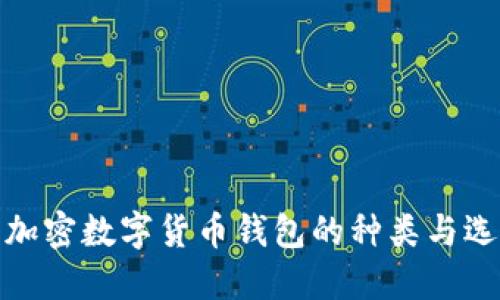 : 详解加密数字货币钱包的种类与选择指南