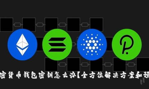 丢失加密货币钱包密钥怎么办？全方位解决方案和预防措施
