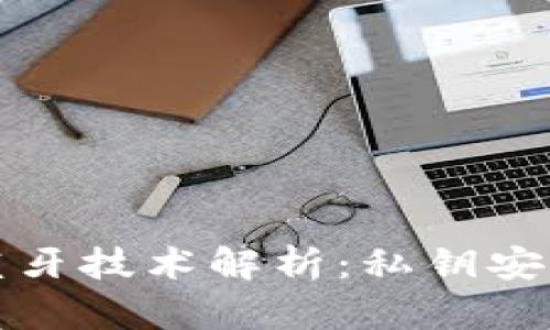 冷钱包蓝牙技术解析:私钥安全性研究
