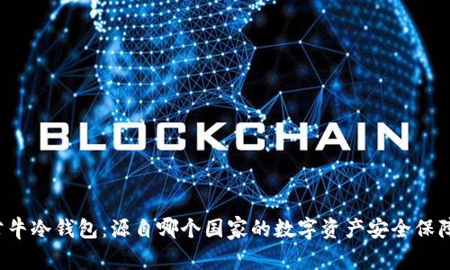 公牛冷钱包:源自哪个国家的数字资产安全保障?