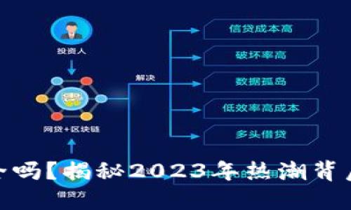 冷钱包电子钱包安全吗？揭秘2023年热潮背后的隐患与防护措施
