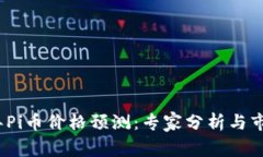 2025年Pi币价格预测：专家