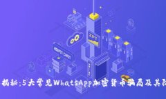 2023年揭秘：5大常见Whats