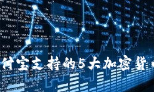 2023年支付宝支持的5大加密货币基金分析