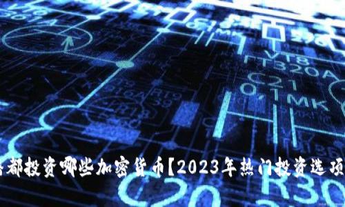 主播都投资哪些加密货币？2023年热门投资选项分析