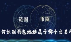 如何识别钱包地址属于哪