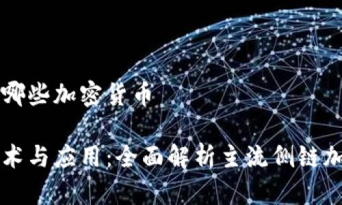 侧链有哪些加密货币

侧链技术与应用：全面解析主流侧链加密货币