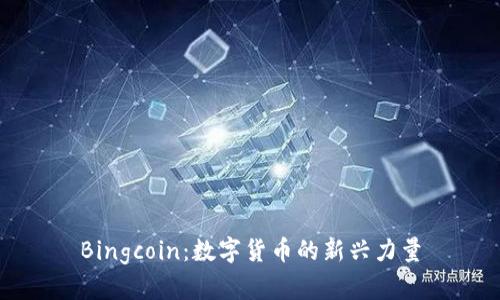 Bingcoin：数字货币的新兴力量
