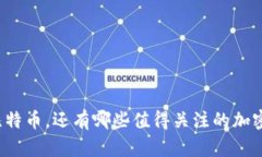 除了比特币，还有哪些值