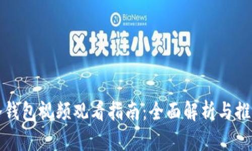 冷钱包视频观看指南：全面解析与推荐